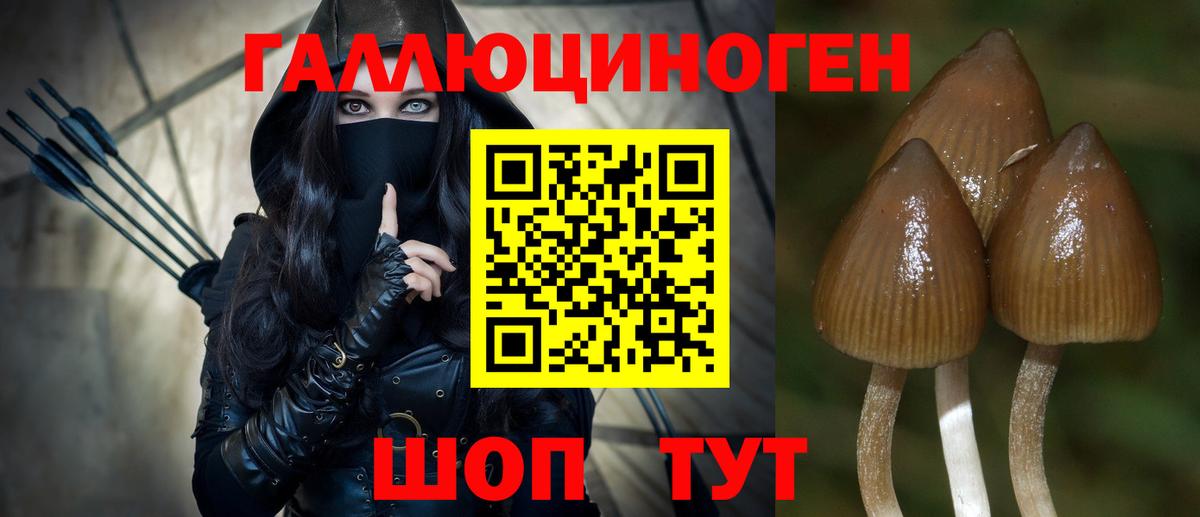 Псилоцибиновые грибы MAGIC MUSHROOMS  Вход с VPN  Выборг 