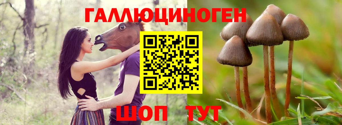 Псилоцибиновые грибы Magic Shrooms Выборг