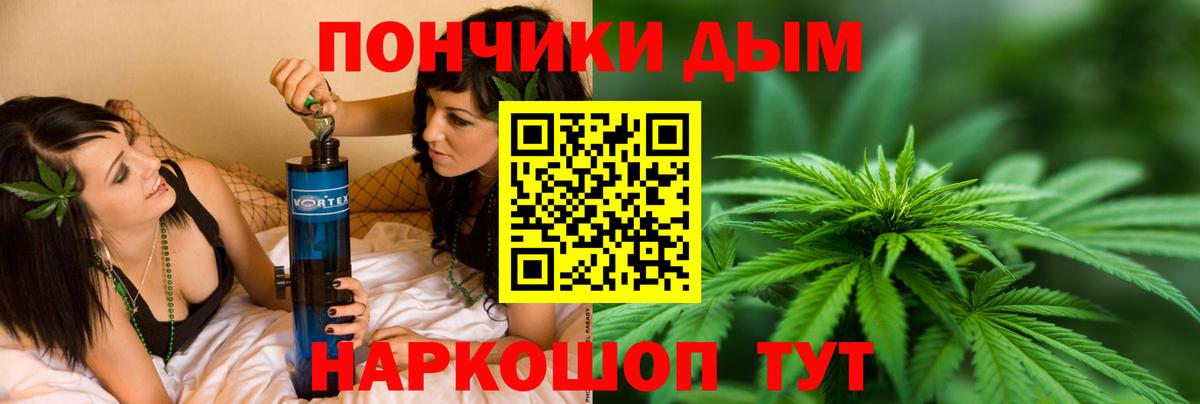 Каннабис конопля Выборг